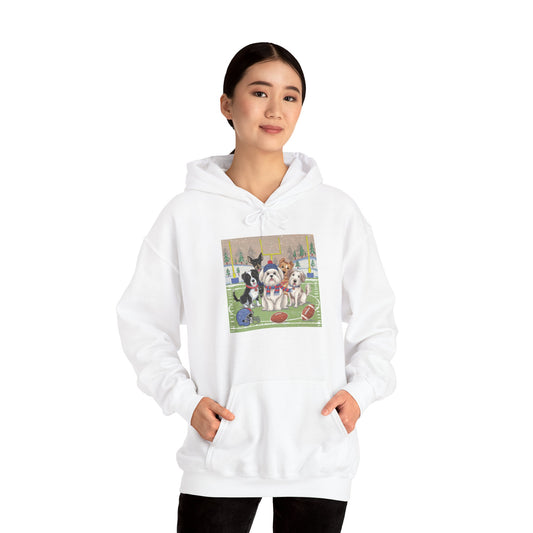 Copy of Unisex Heavy Blend™ Hooded Sweatshirt